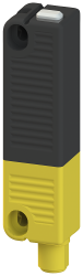 Alt